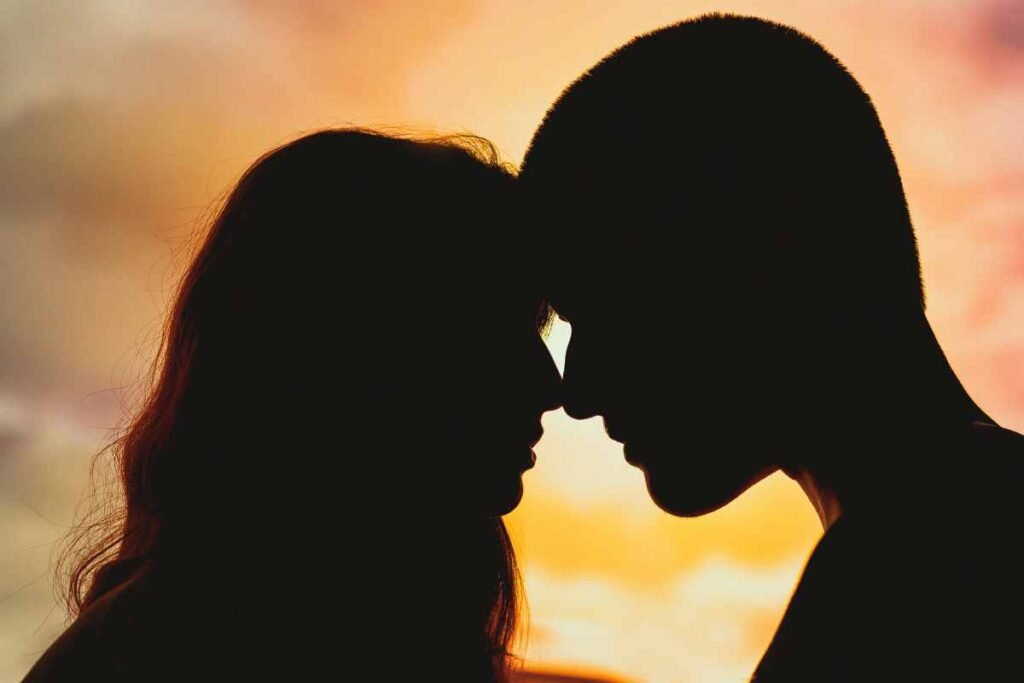 The Black Cat Golden Retriever Relationship Theory: How Opposites Attract in Love 2 The Black Cat Golden Retriever Relationship Theory How Opposites attract in Love Couple in sunset