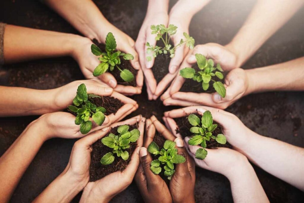 The Importance of Friendships for Mental Health holding plant sprouts